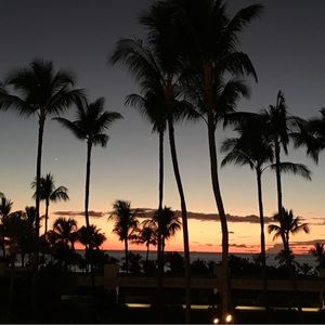 Meet your Posher, Janette